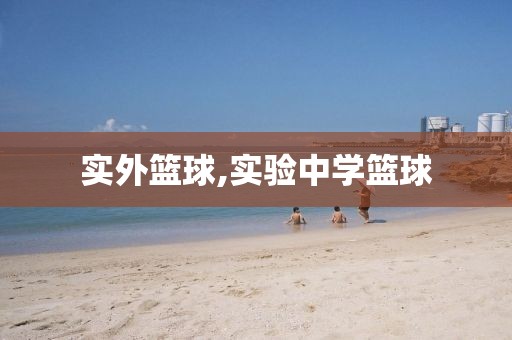 实外篮球,实验中学篮球