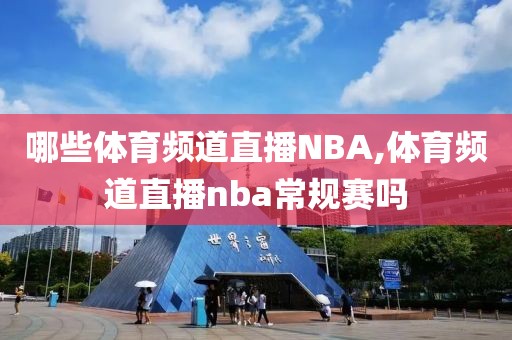 哪些体育频道直播NBA,体育频道直播nba常规赛吗