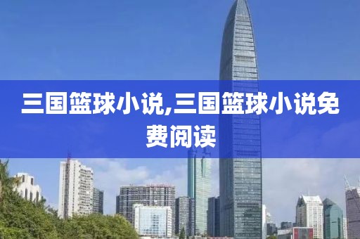 三国篮球小说,三国篮球小说免费阅读