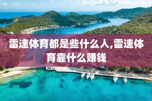 雷速体育都是些什么人,雷速体育靠什么赚钱