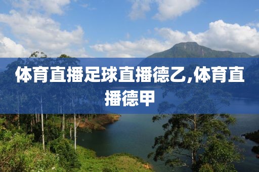 体育直播足球直播德乙,体育直播德甲