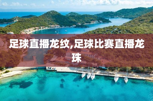 足球直播龙纹,足球比赛直播龙珠