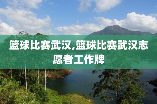 篮球比赛武汉,篮球比赛武汉志愿者工作牌