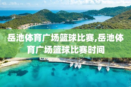 岳池体育广场篮球比赛,岳池体育广场篮球比赛时间