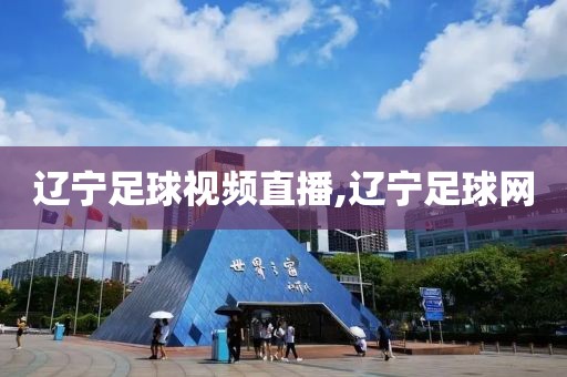 辽宁足球视频直播,辽宁足球网