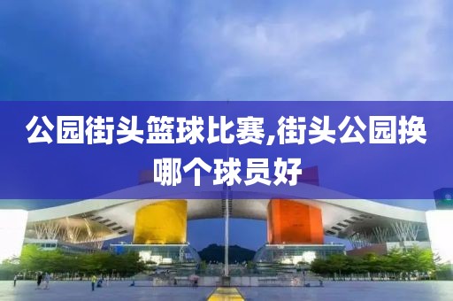 公园街头篮球比赛,街头公园换哪个球员好