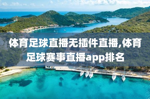 体育足球直播无插件直播,体育足球赛事直播app排名