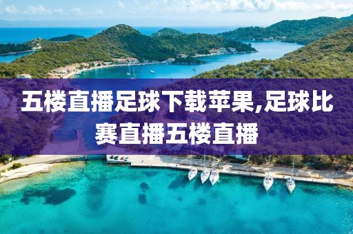 五楼直播足球下载苹果,足球比赛直播五楼直播