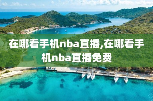 在哪看手机nba直播,在哪看手机nba直播免费