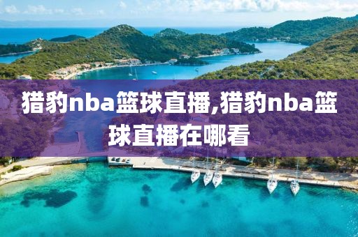 猎豹nba篮球直播,猎豹nba篮球直播在哪看