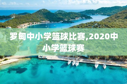 罗甸中小学篮球比赛,2020中小学篮球赛