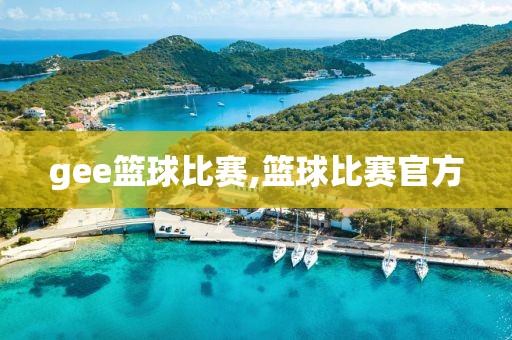 gee篮球比赛,篮球比赛官方