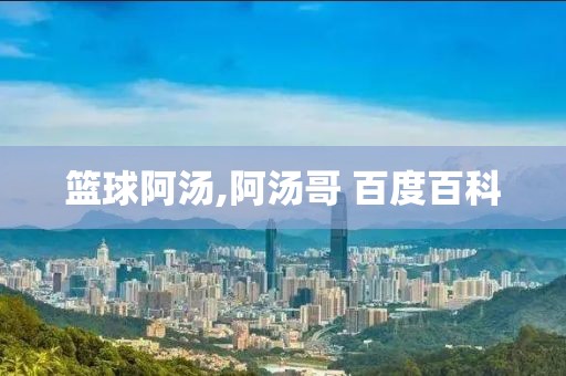 篮球阿汤,阿汤哥 百度百科
