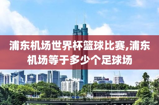 浦东机场世界杯篮球比赛,浦东机场等于多少个足球场