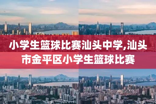 小学生篮球比赛汕头中学,汕头市金平区小学生篮球比赛