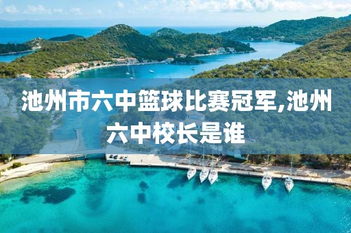 池州市六中篮球比赛冠军,池州六中校长是谁