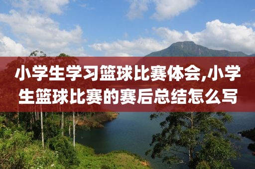 小学生学习篮球比赛体会,小学生篮球比赛的赛后总结怎么写
