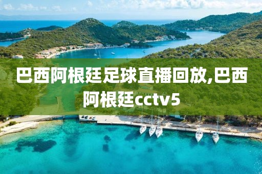 巴西阿根廷足球直播回放,巴西阿根廷cctv5