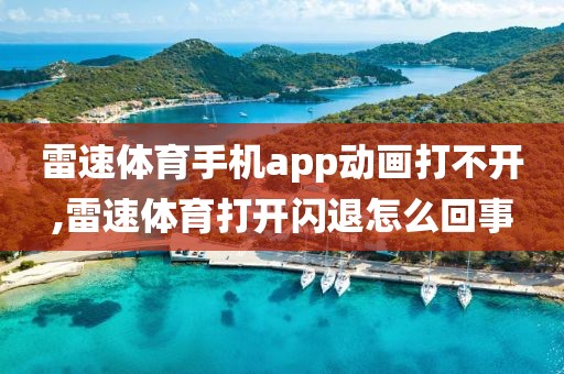 雷速体育手机app动画打不开,雷速体育打开闪退怎么回事