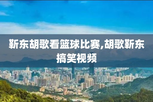 靳东胡歌看篮球比赛,胡歌靳东搞笑视频