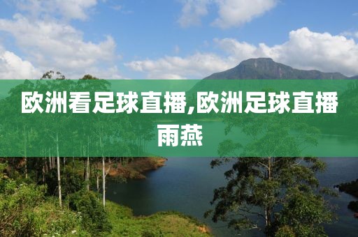 欧洲看足球直播,欧洲足球直播雨燕
