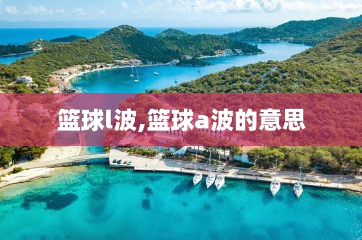 篮球l波,篮球a波的意思