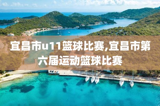 宜昌市u11篮球比赛,宜昌市第六届运动篮球比赛