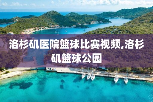 洛杉矶医院篮球比赛视频,洛杉矶篮球公园