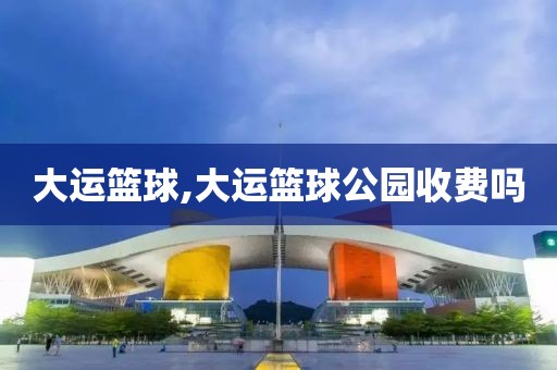 大运篮球,大运篮球公园收费吗