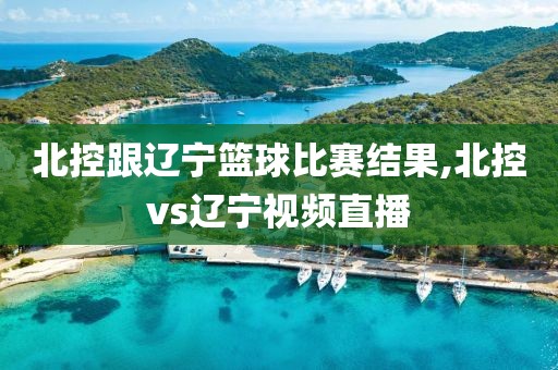 北控跟辽宁篮球比赛结果,北控vs辽宁视频直播