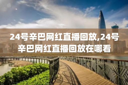 24号辛巴网红直播回放,24号辛巴网红直播回放在哪看
