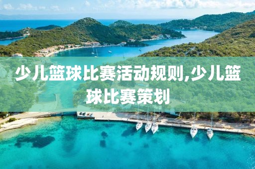 少儿篮球比赛活动规则,少儿篮球比赛策划