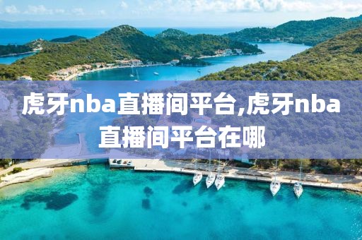 虎牙nba直播间平台,虎牙nba直播间平台在哪