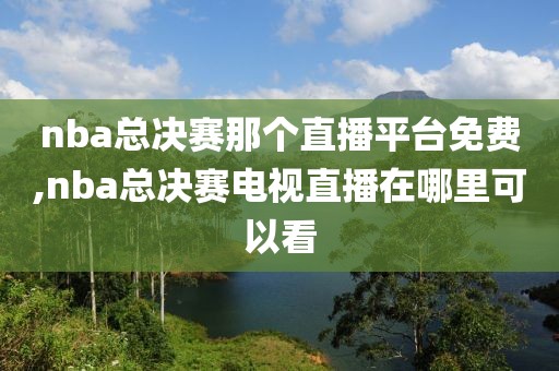 nba总决赛那个直播平台免费,nba总决赛电视直播在哪里可以看