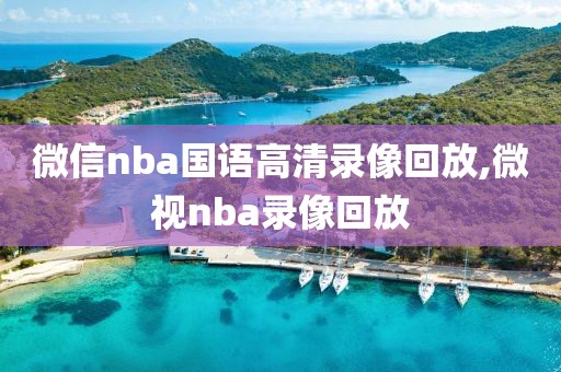 微信nba国语高清录像回放,微视nba录像回放