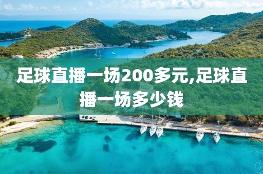 足球直播一场200多元,足球直播一场多少钱