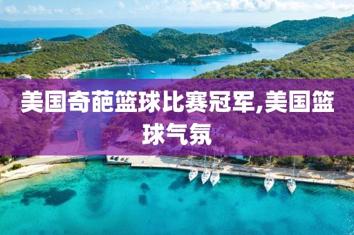 美国奇葩篮球比赛冠军,美国篮球气氛