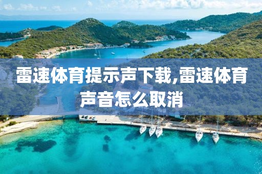 雷速体育提示声下载,雷速体育声音怎么取消
