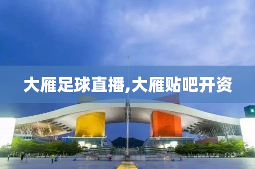 大雁足球直播,大雁贴吧开资