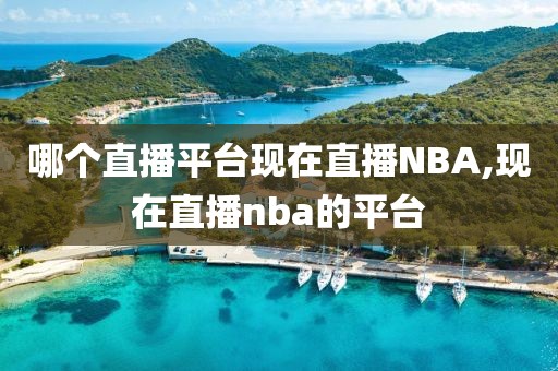 哪个直播平台现在直播NBA,现在直播nba的平台