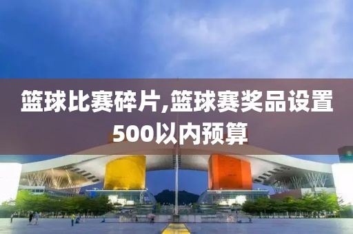 篮球比赛碎片,篮球赛奖品设置 500以内预算