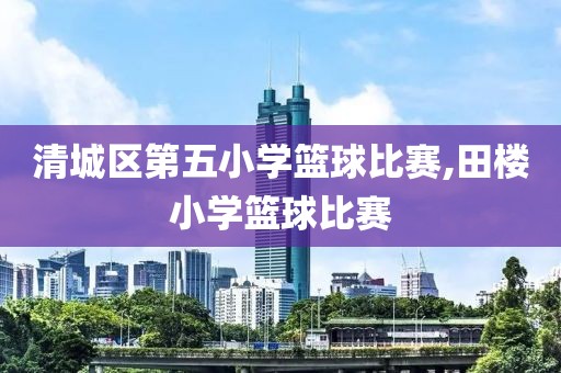 清城区第五小学篮球比赛,田楼小学篮球比赛