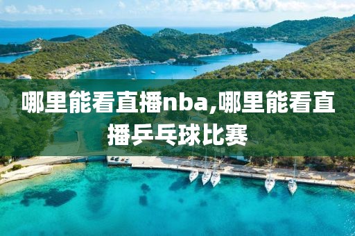 哪里能看直播nba,哪里能看直播乒乓球比赛