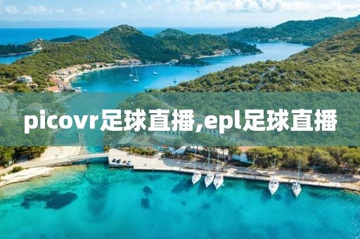 picovr足球直播,epl足球直播