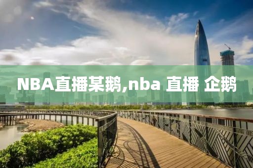 NBA直播某鹅,nba 直播 企鹅
