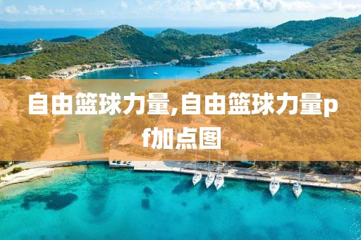 自由篮球力量,自由篮球力量pf加点图