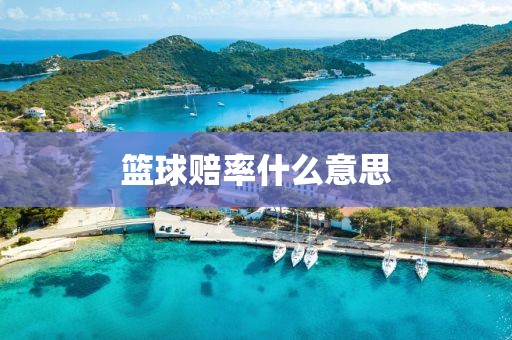 篮球赔率什么意思