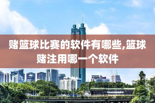 赌篮球比赛的软件有哪些,篮球赌注用哪一个软件