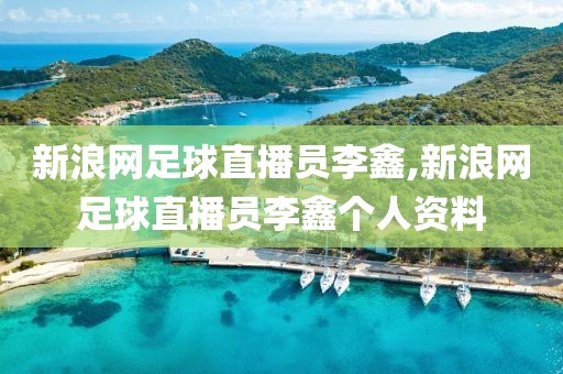 新浪网足球直播员李鑫,新浪网足球直播员李鑫个人资料