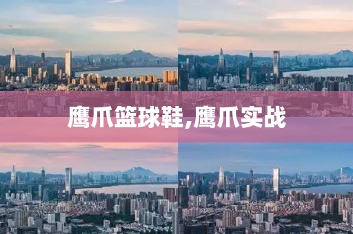 鹰爪篮球鞋,鹰爪实战